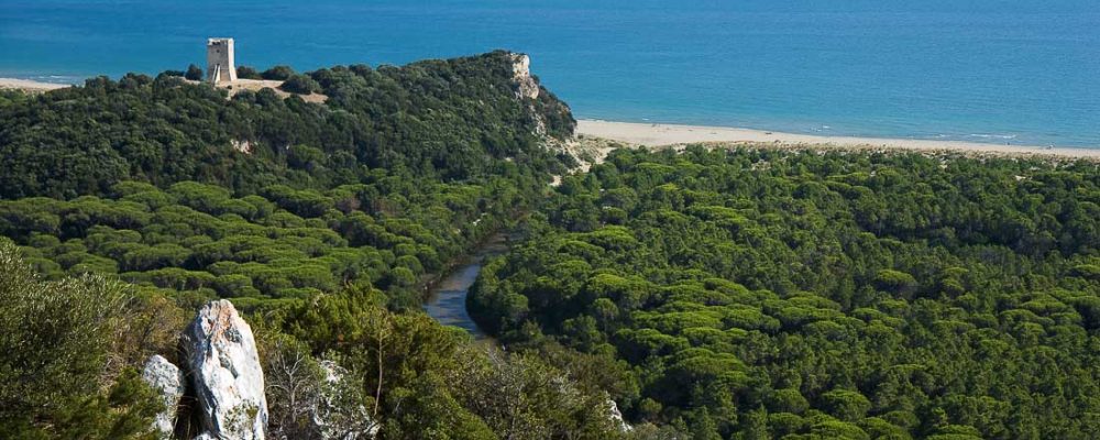 parco della maremma parco della maremma