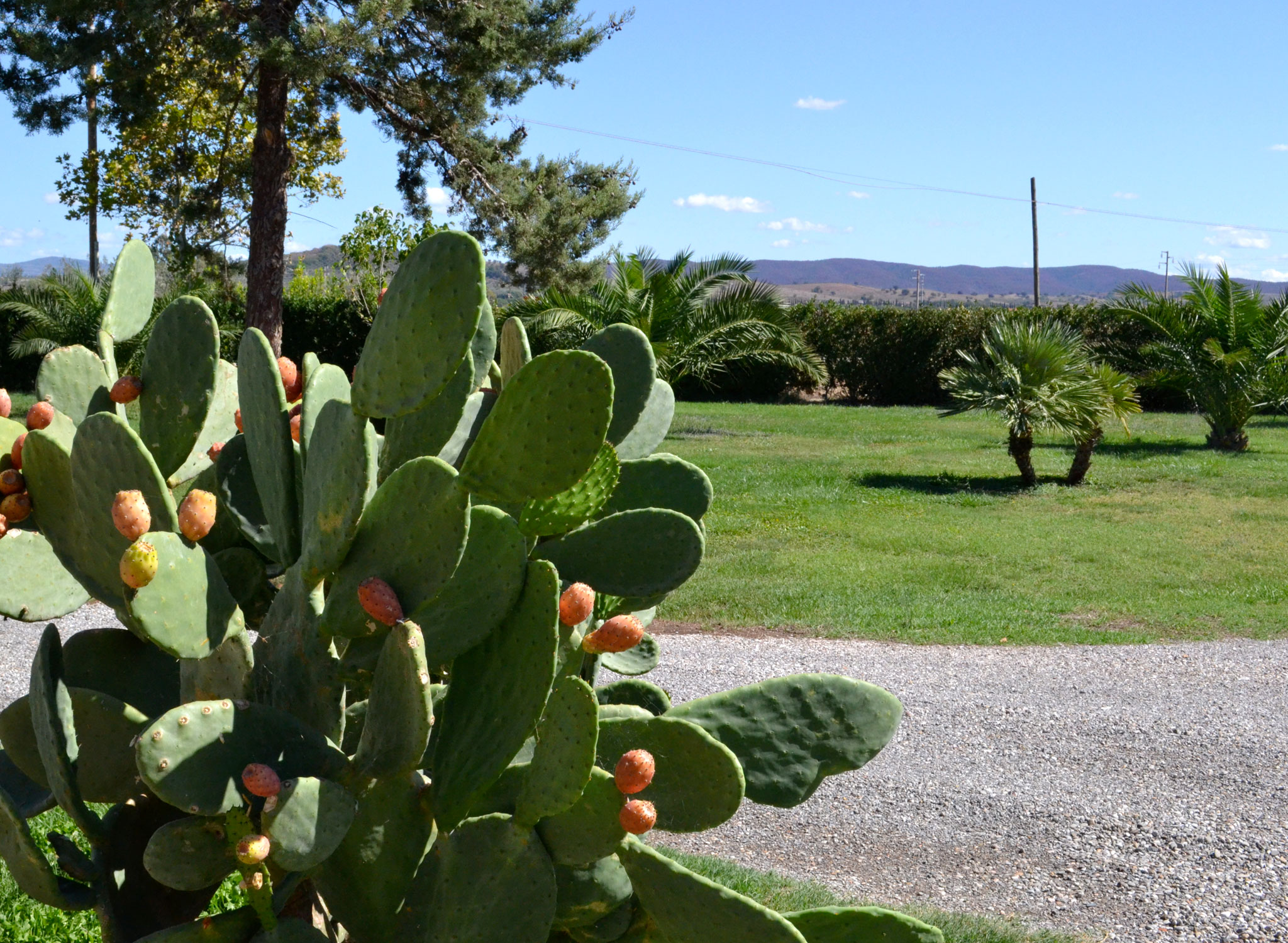 Agriturismo Alberese Parco dell'Uccellina a due passi dal mare - Vallarsa